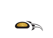 Alaska Adventure Unlimited